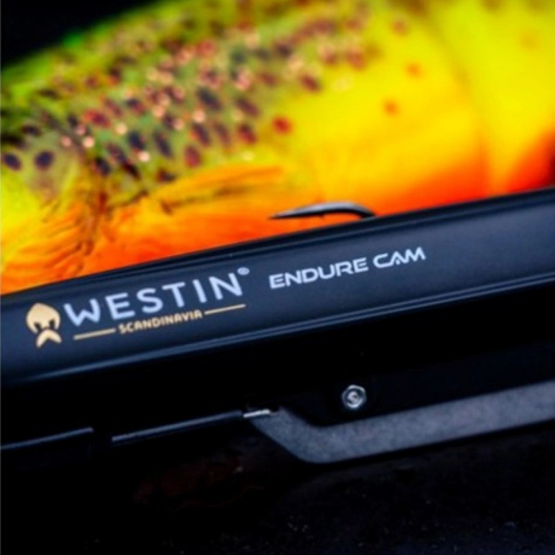Westin Endure Cam